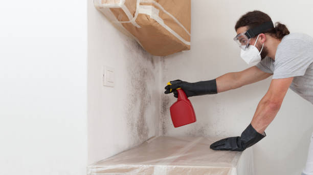 Professional Mold Testing technician working in Melrose, MA